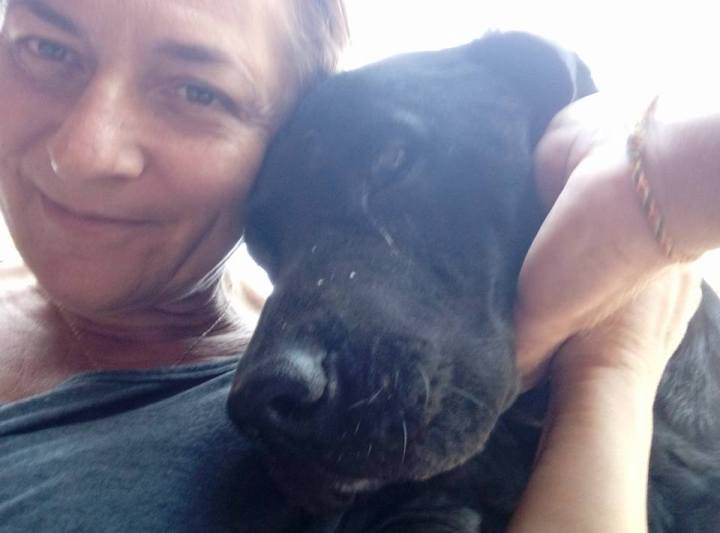 14720603_10154607187349158_8466027703200735095_n